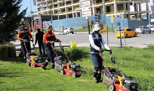 Çankaya Parklarında Çim Biçme Çalışması