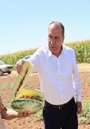 Çumra’nın Sarı İçli “Tatar Karpuzu” Yine Gündemde