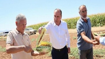 Çumra’nın Sarı İçli “Tatar Karpuzu” Yine Gündemde