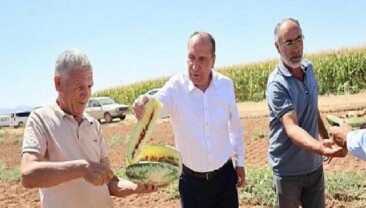 Çumra’nın Sarı İçli “Tatar Karpuzu” Yine Gündemde
