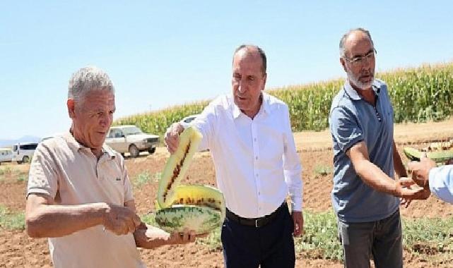 Çumra’nın Sarı İçli “Tatar Karpuzu” Yine Gündemde