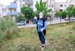 Didim Belediyesi’nden Okullarda Ot Biçme ve Etraf Düzenleme Çalışması