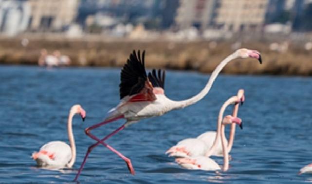 Flamingo Yolu çeşitleri bayramda da devam ediyor