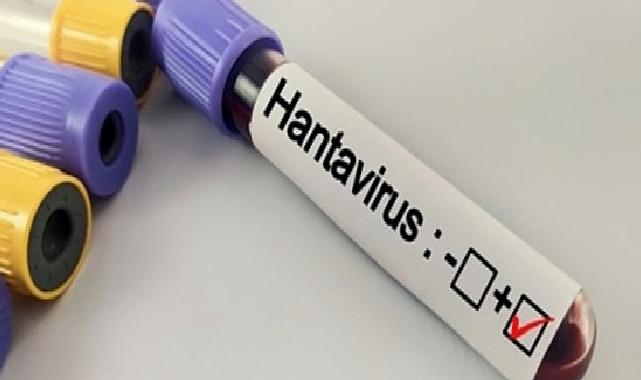 Hantavirüs Bir Salgına Dönüşür mü?