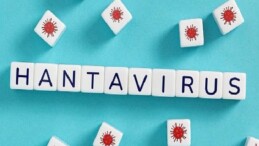 Hantavirüsün beşerden beşere yayılım riski düşük