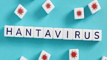 Hantavirüsün beşerden beşere yayılım riski düşük