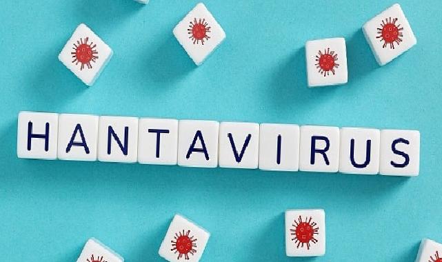 Hantavirüsün beşerden beşere yayılım riski düşük