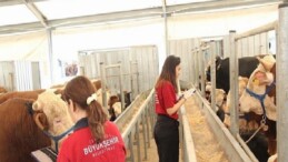 İBB’nin 4 Çağdaş Tesisi Kurban Bayramı İçin Hazır
