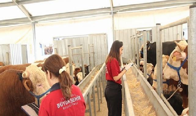 İBB’nin 4 Çağdaş Tesisi Kurban Bayramı İçin Hazır