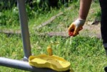 Kartepe’de Çocukların Park Keyfi Yenileniyor