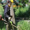Kartepe’de Yeşil Alanlar Bayrama Hazırlanıyor
