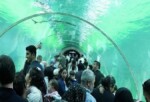 Keçiören’de Bayram Coşkusu Dolu Dolu Yaşandı