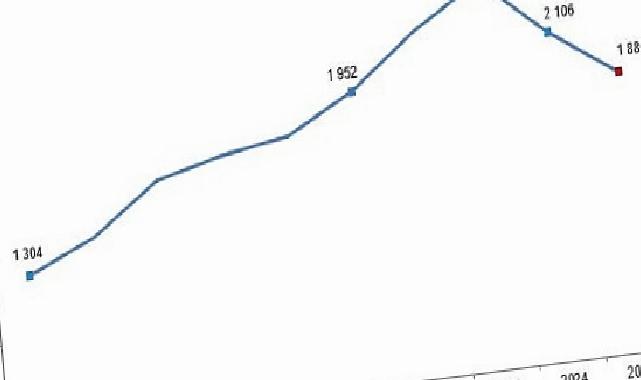 Kırmızı Et Üretim İstatistikleri, 2025