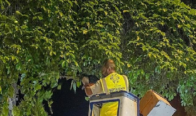 Lider Çerçioğlu: Aydınımız İçin Gece Gündüz Çalışmaya Devam Ediyoruz