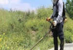 Maltepe’de Etraf Düzenleme Çalışmaları Sürüyor