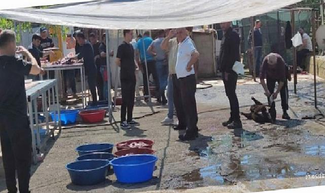 Maltepe’de kaçak kurban kısmına sıkı kontrol