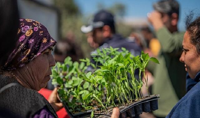 Milas Belediyesi’nden Üreticilere Fide Dayanağı