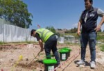 Organik atıklar hanelerde dönüşerek toprağı zenginleştiriyor