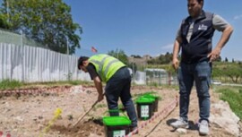Organik atıklar hanelerde dönüşerek toprağı zenginleştiriyor