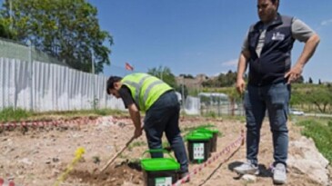 Organik atıklar hanelerde dönüşerek toprağı zenginleştiriyor