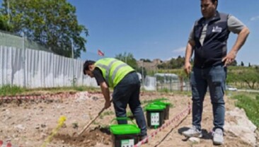 Organik atıklar hanelerde dönüşerek toprağı zenginleştiriyor