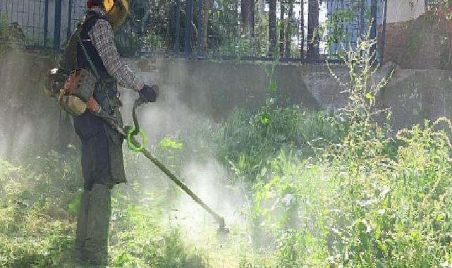 Osmangazi Belediyesi’nden Etrafa Bahar Dokunuşu
