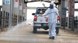 Osmangazi’de Kurban Pazarları İlaçlanarak Dezenfekte Edildi
