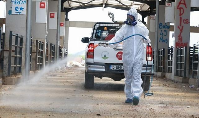 Osmangazi’de Kurban Pazarları İlaçlanarak Dezenfekte Edildi