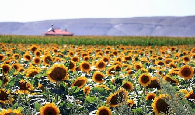 PepsiCo Türkiye, Dünya Çiftçiler Günü’nü Çiftçilerle Birlikte Tarımın Geleceğini İnşa Ederek Kutluyor