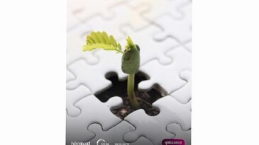 QNB Türkiye ve SEGM’den Gençlere Sürdürülebilir Finans Eğitimi ve Staj İmkânı