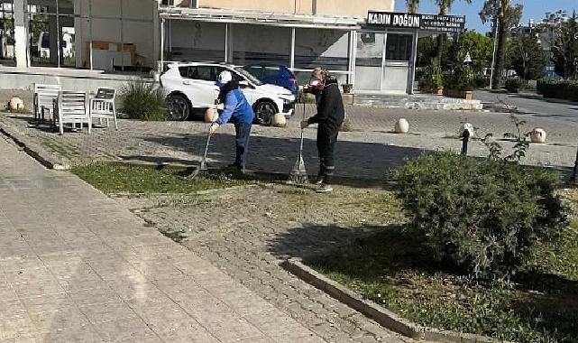 Saha Çalışmaları Aralıksız Devam Ediyor