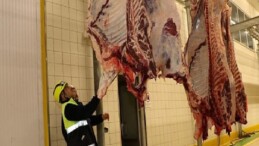 Sakatatları katiyen çöpe atmayın