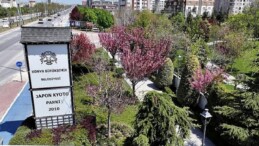 Sakuralar İçin Japonya’ya Gitmenize Gerek Yok; Konya’da Sakura Mevsimi Başladı