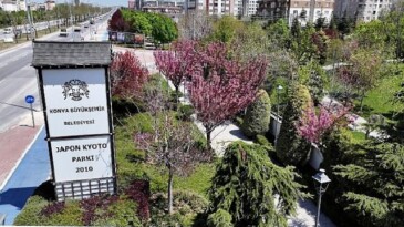 Sakuralar İçin Japonya’ya Gitmenize Gerek Yok; Konya’da Sakura Mevsimi Başladı