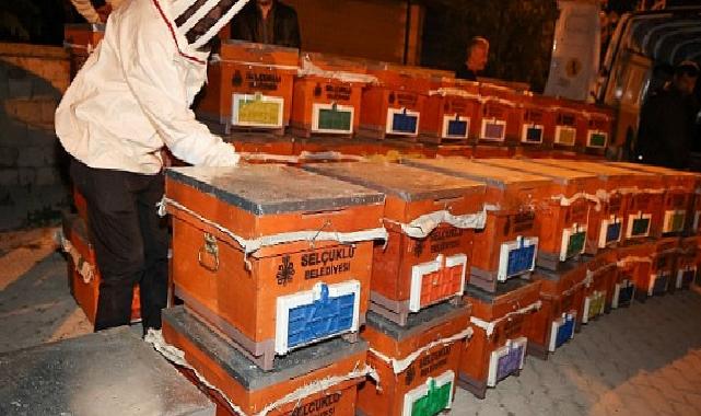 Selçuklu Belediyesi Arılı Kovan Dayanağı Projesi’ni 4. Sefer Düzenledi