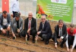 Tarlalar bereketleniyor, Kocaeli çiftçisi kazanıyor