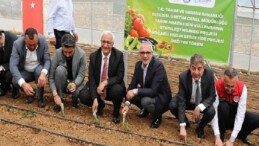Tarlalar bereketleniyor, Kocaeli çiftçisi kazanıyor