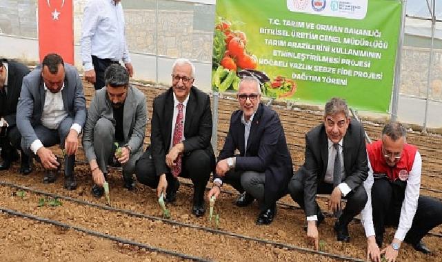 Tarlalar bereketleniyor, Kocaeli çiftçisi kazanıyor