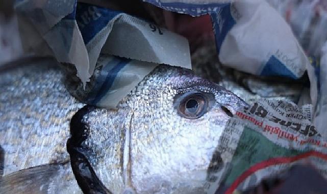 Antalya Otogarı’nda balık operasyonu