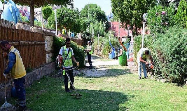 Aydın Büyükşehir Belediyesi’nden Söke’de Etraf Düzenleme ve Peyzaj Çalışması