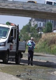Bakırköy’de Vektör Uğraşı Ağırlaştı