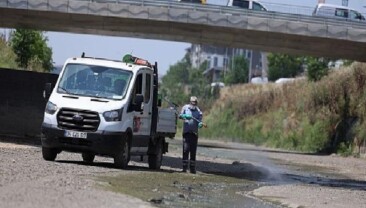 Bakırköy’de Vektör Uğraşı Ağırlaştı