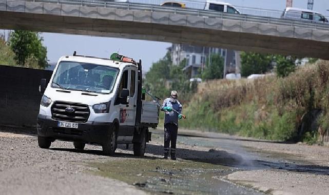 Bakırköy’de Vektör Uğraşı Ağırlaştı