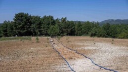Bornova’da atıl topraklar hayat buluyor