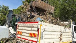 Bornova’da yaz öncesi yangın ve etraf seferberliği