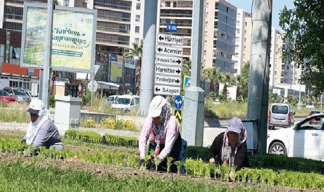 Bu Yaz Osmangazi’de Çiçek Kokuları Eksik Olmayacak