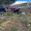 Büyükşehir tasarrufta rekor kırdı