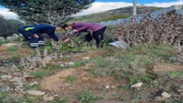 Büyükşehir tasarrufta rekor kırdı