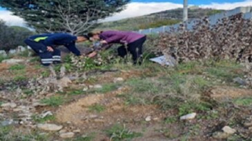 Büyükşehir tasarrufta rekor kırdı