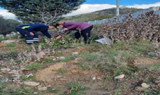 Büyükşehir tasarrufta rekor kırdı